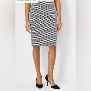 Ann Taylor Skirt - Pull On NWT